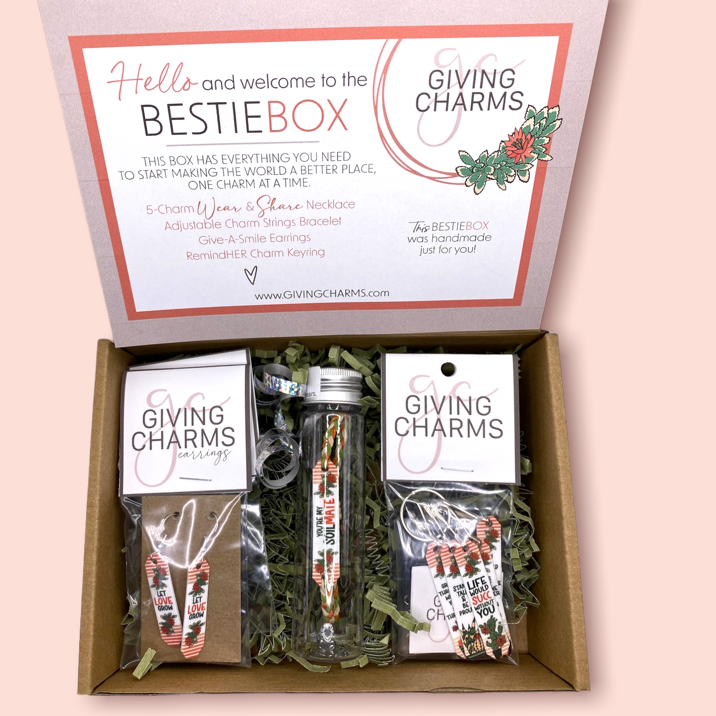 The BESTIE BOX Jr. | Succulents