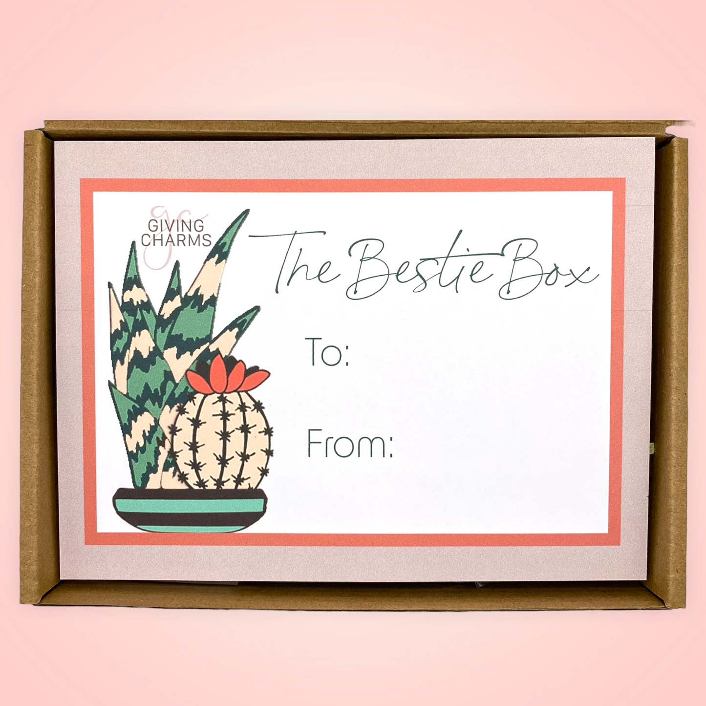 The BESTIE BOX | Succulents