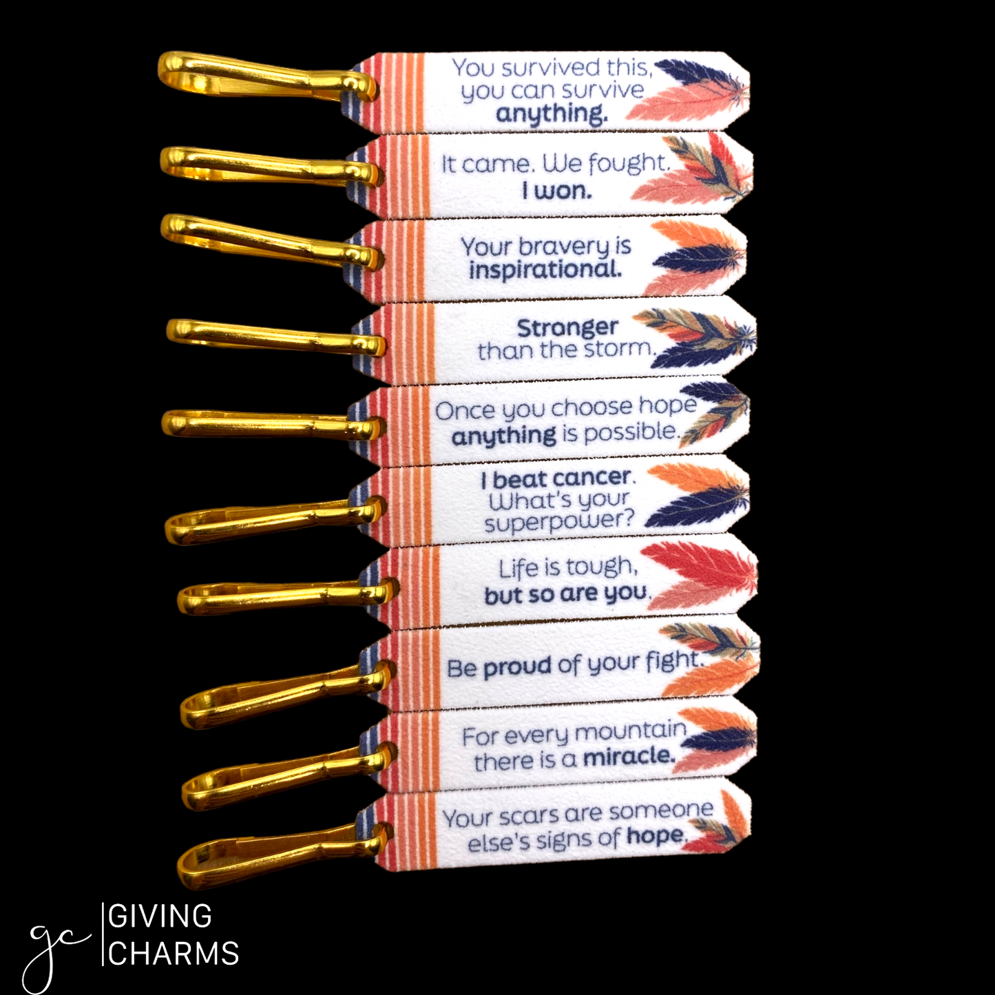 The Survivor Tin | Cancer