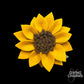 Wrap It Florals | Sunflower