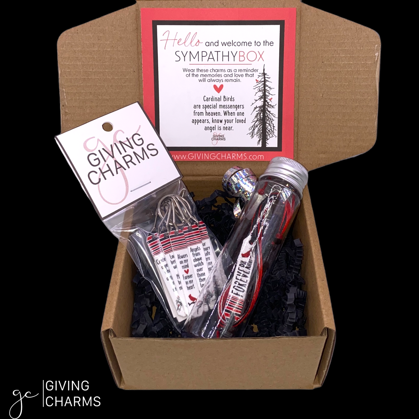 The Sympathy Box