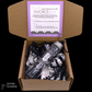 The Divorce Box