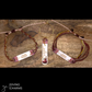 Forget Me Not | Charm Strings Bracelet with Matching Stemware Charm
