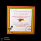 The FIESTA Box Jr.